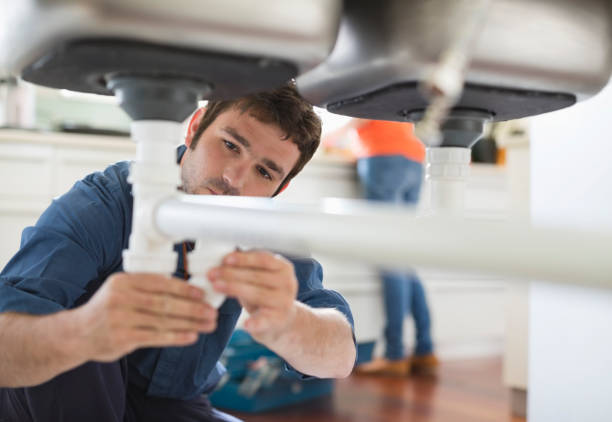 Best Local Plumber Services  in Fair Grove, MO